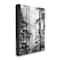 Stupell Industries Forest Light Shining Through Tall Trees Landscape Photography Canvas Wall Art